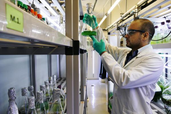 Novos concursos financiam entidades do sistema científico da região