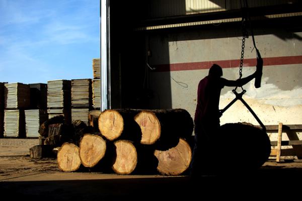 NORTE 2020 apoia empresas com prejuízos causados pelos incêndios
